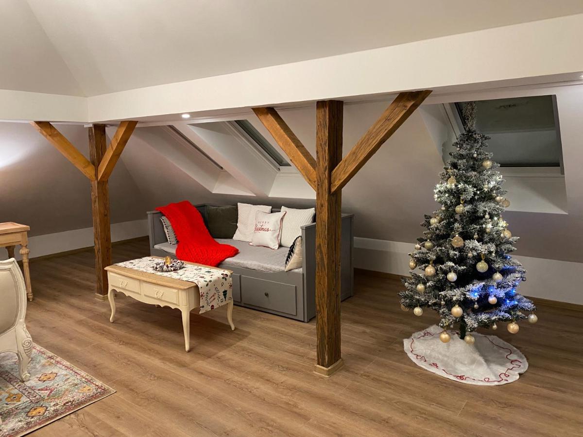 Nikolas Haus Braşov Extérieur photo